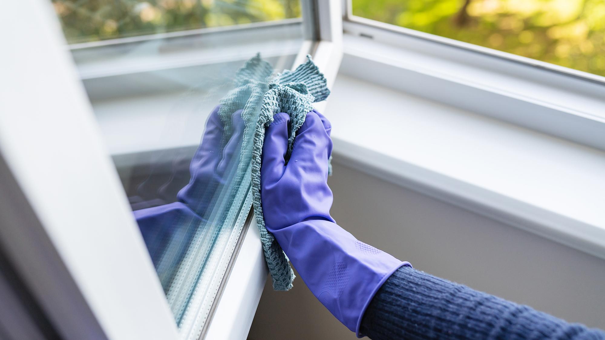 A hand wearing a purple cleaning glove is wiping a window with a blue cloth, with greenery visible outside.
